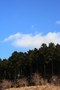裾野