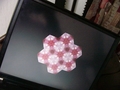 動作のようすを撮影した動画