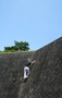 裾野
