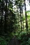 裾野