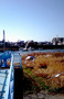 町の景色