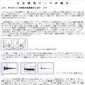 サヌカイト打楽器の振動解析と設計
